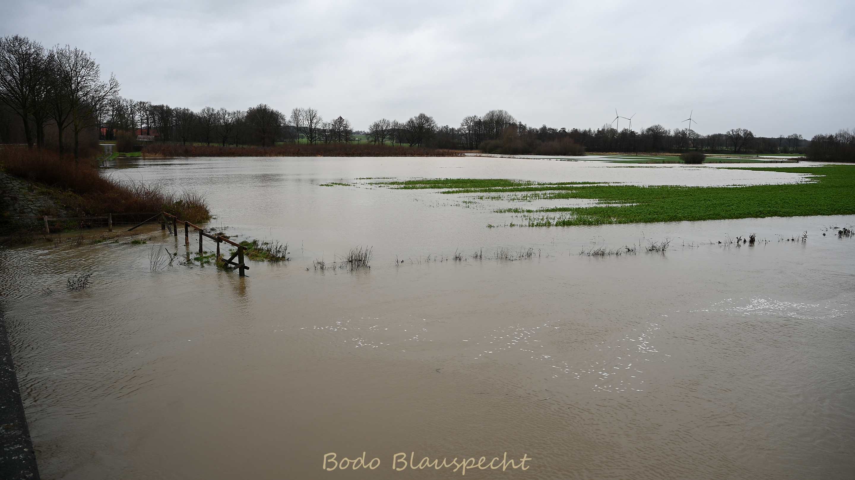 Hochwasser   Steveraue   2023.12.23 16.30 26 WEB